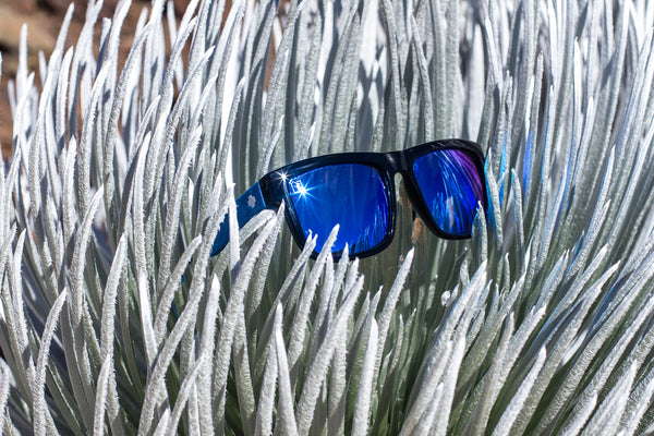 Are Blue Lenses the Best For Sunglasses?