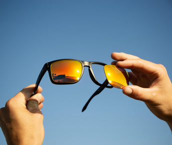 Holbrook vs. Holbrook XL: How To Tell The Difference
