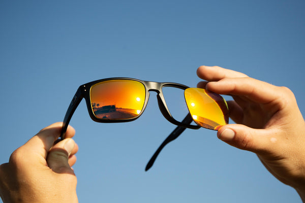 Holbrook vs. Holbrook XL: How To Tell The Difference